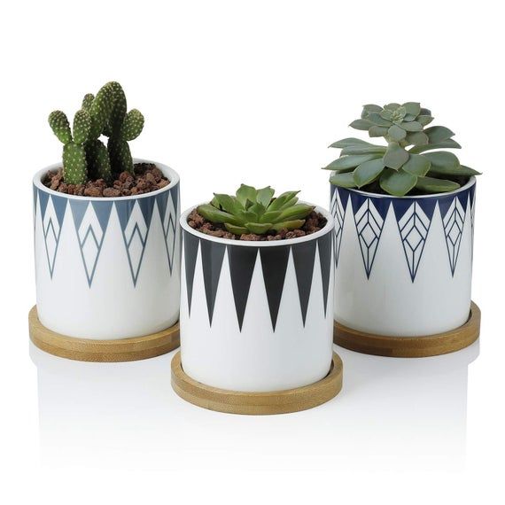 "Mini Garden Trio"