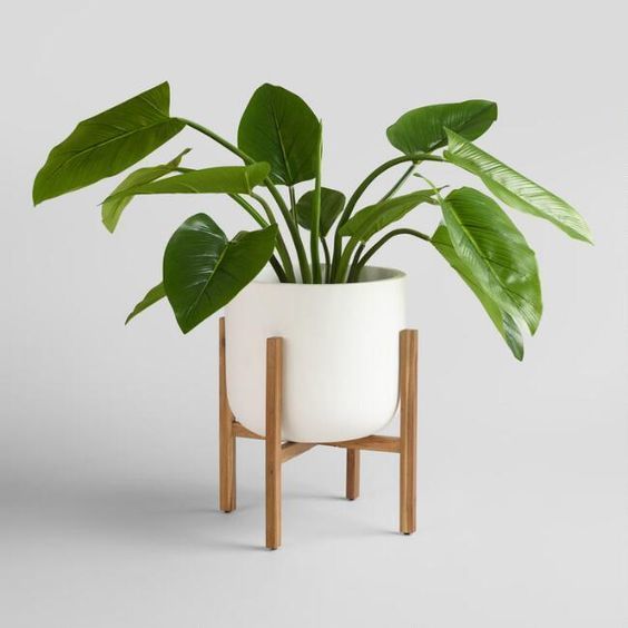 "Scandi Minimal"